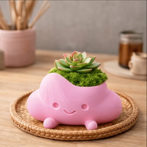 Cute Cloud Mini Succulent Planter Pot, Small Smiling Face Plant Pot for Desk Decor, Tiny Flower Pot for Cactus Succulent Plants Gardening Gift,home Decor